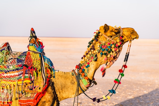 Places in India